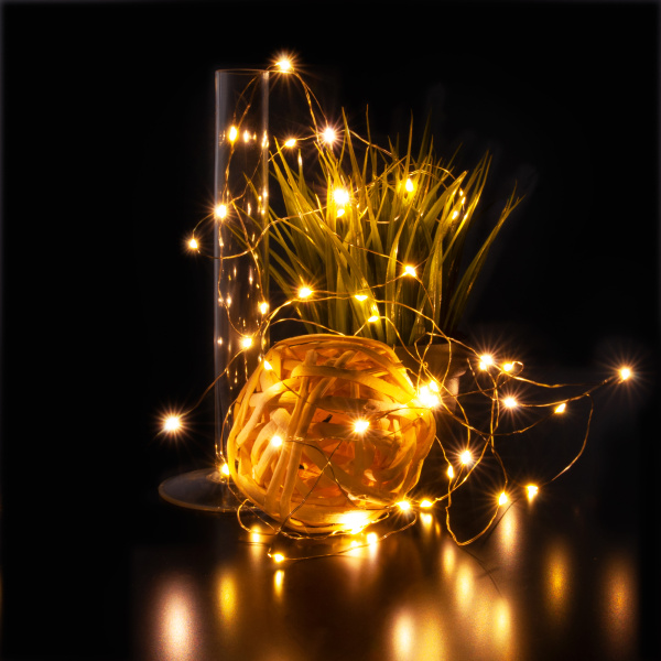 Купить Eurosvet Гирлянда Нить 400-007 теплый белый 5м IP20 a056042