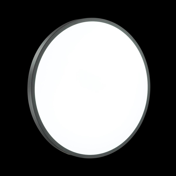 Купить Sonex 3012/DL SN 035 св-к SMALLI пластик LED 48Вт 3000-6000K D380 IP43 пульт ДУ