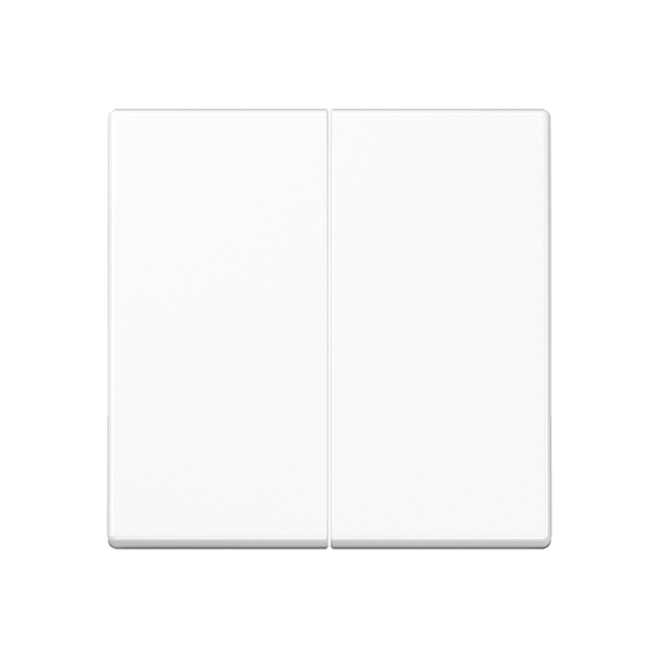 JUNG Белый Клавиши для сдвоенных выключателей; термопласт A595BFWW