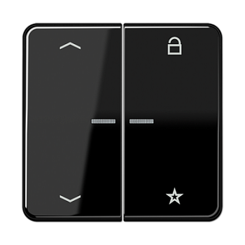 JUNG Центральная плата для вставок управления двигателями, чёрный CD1701PSW