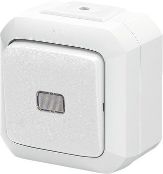 ABB Variant+ Белый Переключатель одноклавишный с прозрачной линзой, IP54 2CHN582552C4500