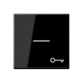 JUNG Клавиша с символом двери с подсветкой, чёрный A590BFKO5TSW