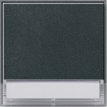 Gira Клавиша с полем для надписи 37*47 мм 067667