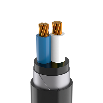 Кабель силовой бронированный ВБШвнг(А) -ХЛ 2х35 мк(N)-1 Кабэкс ТХМ00356617