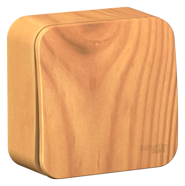 Купить Systeme Electric Blanca наруж Ясень Выключатель 1-клавишный с самовозвратом, 10А, 250В, изолир. пластина