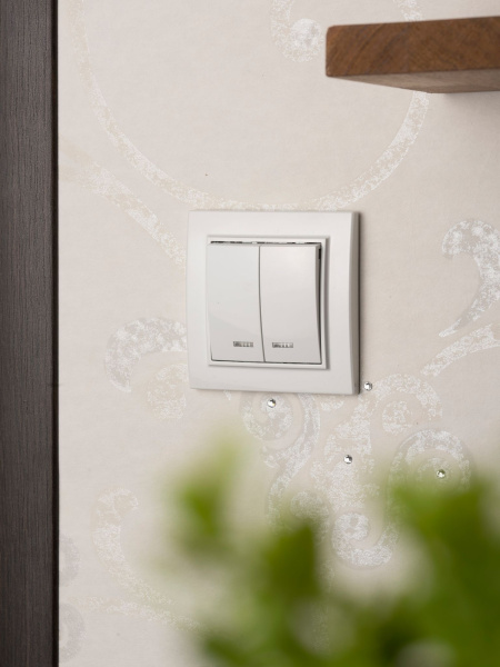 Купить EKF Basic Минск Белый Выключатель 2-кл с индикатором, 10А, СП