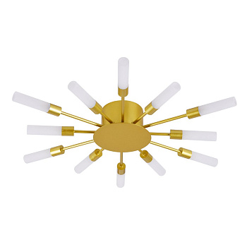 Arte Lamp MAPLE Светильник потолочный галоген A1276PL-12GO