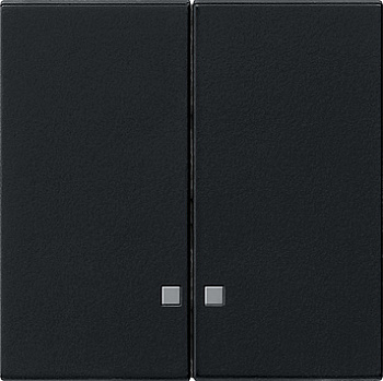 Gira Накладка двухклавишная с контрольными окнами 0631005