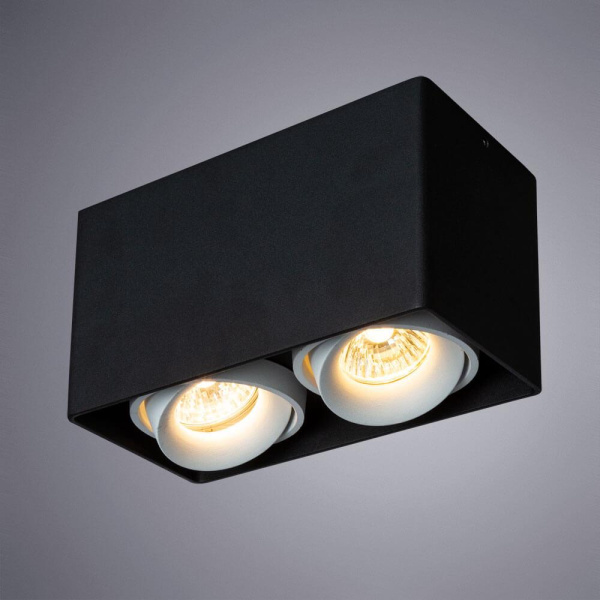 Купить Arte Lamp PICTOR Потолочные светильники A5654PL-2BK