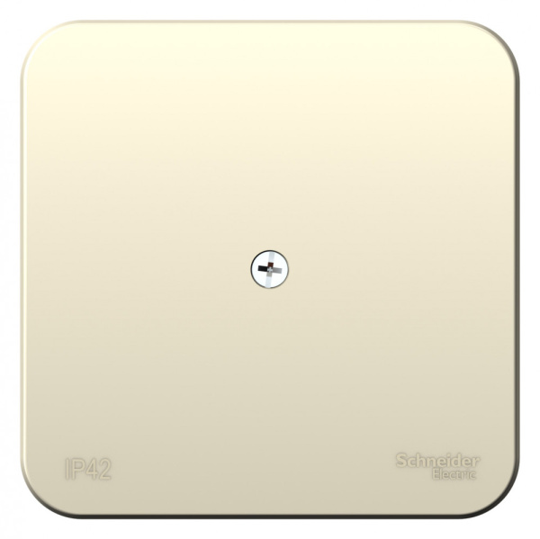 Systeme Electric Blanca наруж Молочная Коробка распределительная