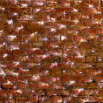 NEON-NIGHT Гирлянда "Сеть" 2,5х2,5м, черный ПВХ, 432 LED Белые 215-031