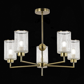 Evoluce SLE1046-302-05 Люстра потолочная Бронза/Прозрачный E27 5*60W