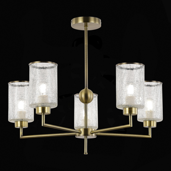 Evoluce SLE1046-302-05 Люстра потолочная Бронза/Прозрачный E27 5*60W