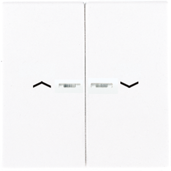 JUNG Клавиши для сдвоенной кнопки BCU белые LS995KO5PWW