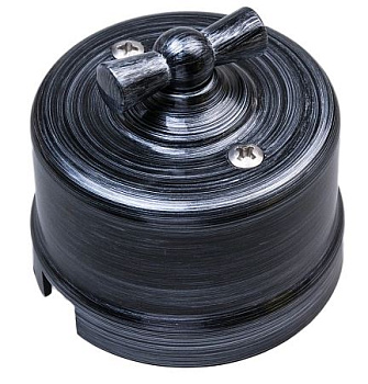 BIRONI Лизетта Пластик Серебряный Выключатель 2-кл B1-202-11