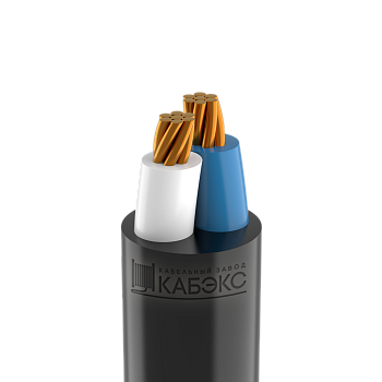 Кабель силовой с ПВХ изоляцией ВВГнг(A) -LS 2х35 мк(N)-1 Кабэкс ТХМ00394611