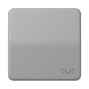 JUNG CD 500/CD plus Серая Клавиша 1-ая с символом ОСВЕЩЕНИЕ CD590LGR