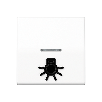 JUNG Клавиша с окошком для подсветки и символом "свет" белая ABAS591L1KO5WW