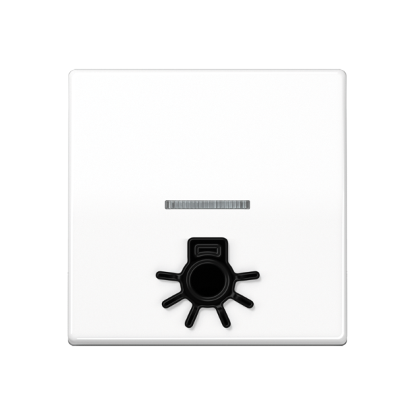 JUNG Клавиша с окошком для подсветки и символом "свет" белая ABAS591L1KO5WW