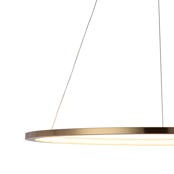 Купить LOFT IT 10014L Светильник подвесной Ring, шт