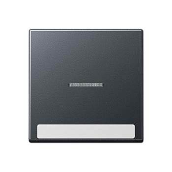 JUNG Клавиша с полем для надписи, матовый антрацит A590BFNAKO5ANM