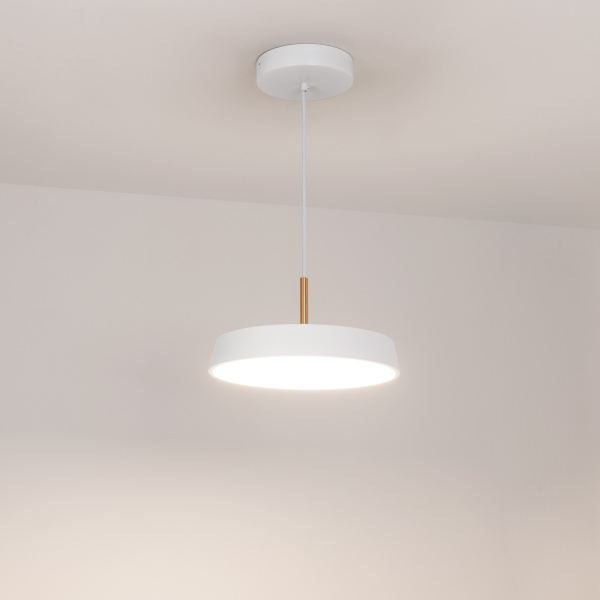 Arlight Светильник SP-ELEGANT-R300-17W Day4000 (WH, 120 deg, 230V) (IP20 Металл, 3 года) 033919 Купить Arlight Светильник SP-ELEGANT-R300-17W Day4000 (WH, 120 deg, 230V) (IP20 Металл, 3 года) 033919