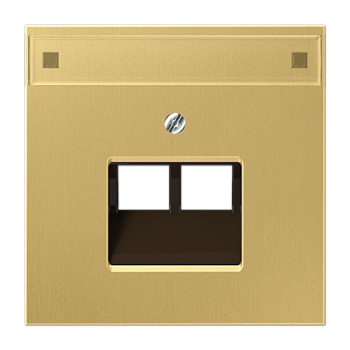 JUNG крышка для модульных разъемов, латунь Classic ME2969-2NAUAC