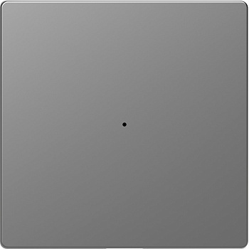 SE Merten D-Life Нержавеющая Сталь PlusLink Клавиша 1-ая без символов MTN5210-6036