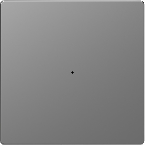 SE Merten D-Life Нержавеющая Сталь PlusLink Клавиша 1-ая без символов MTN5210-6036