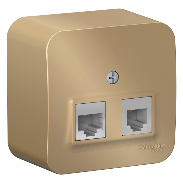 Systeme Electric Blanca наруж Титан Розетка 2-ая ТЛФ/комп, RJ45+RJ11, кат.5E, изолир. пластина