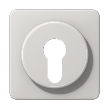 JUNG Крышка для выключателя с замком светло-серая CD528LG