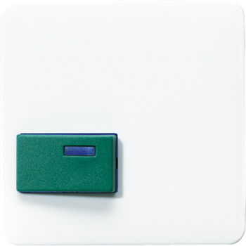 JUNG Крышка для изделий фирмы Ackermann белая CD642CWW