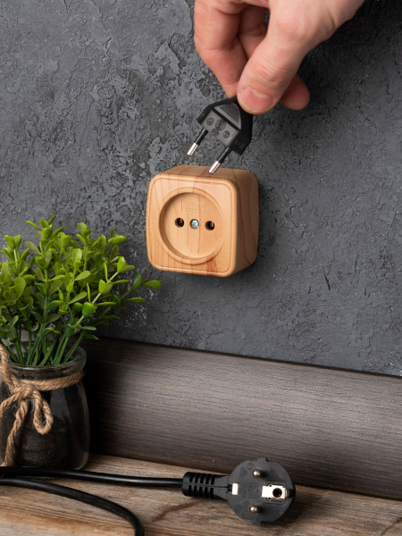 Купить EKF Basic Минск Светлое дерево Розетка б/з, 10А, ОП