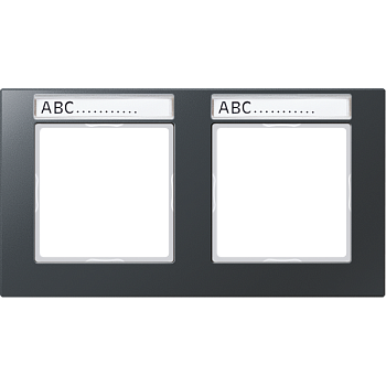 JUNG Рамка 2-кратная, матовый антрацит AC5820BFNAANM