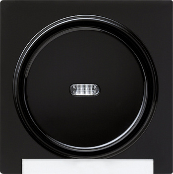 Gira Одинарная клавиша с полем для надписи и подсветкой 067047