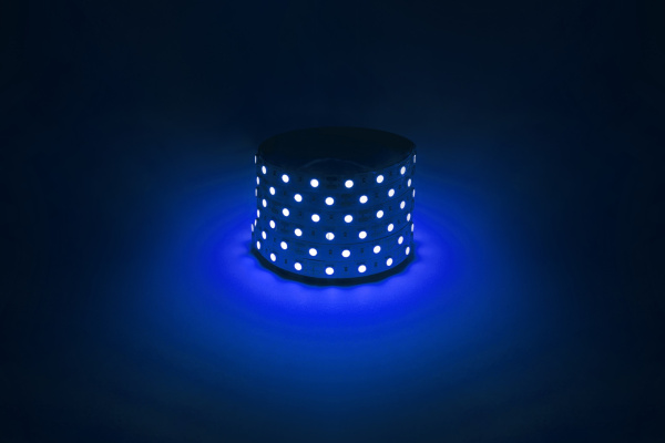 ЭРА Светодиодная лента LS5050 -14,4-60-12-B-IP20-1 year-5m синий 5м