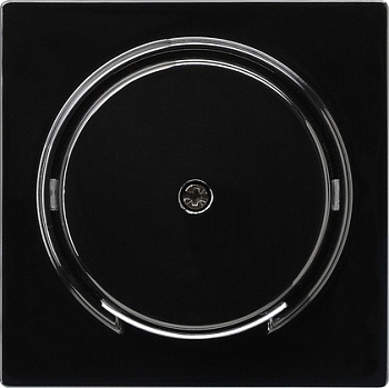 Gira Накладка розетки для подключения средств связи 027447