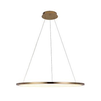 LOFT IT 10014L Светильник подвесной Ring, шт LOFT IT 10014L Светильник подвесной Ring, шт