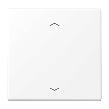 JUNG LS 990 Белый матовый Центральная плата стандарт с символами «стрелки» LS1700PWWM