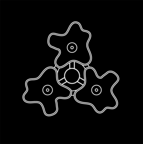 Купить Lightstar Люстра потолочная Nubi Lightstar 802030