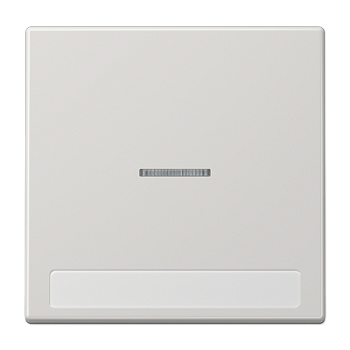 JUNG Клавиша для  выключателя с подсветкой и полем для надписи светло-серая LS990NAKO5LG