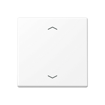 JUNG A Flow/A 550 Белый матовый Центральная плата стандарт с символами «стрелки» A1700BFPWWM