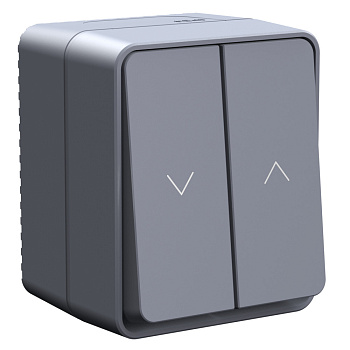 Systeme Electric AtlasDesign Profi54 Антрацит Выключатель 2-клавишный для жалюзи, 2хсх.4