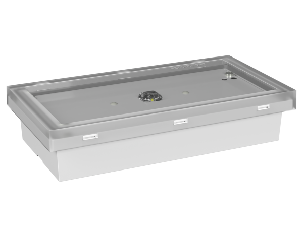 Купить Белый свет Аварийный светильник BS-BRIZ-10-L2-ELON a16988