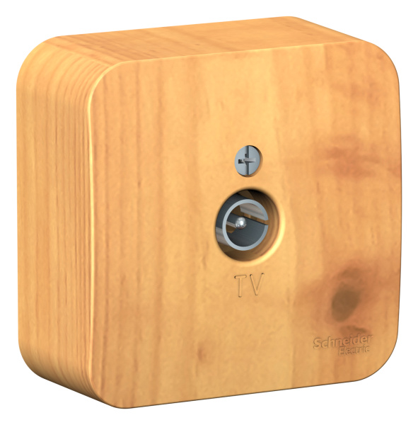 Купить Systeme Electric Blanca наруж Ясень Розетка TV, изолир. пластина