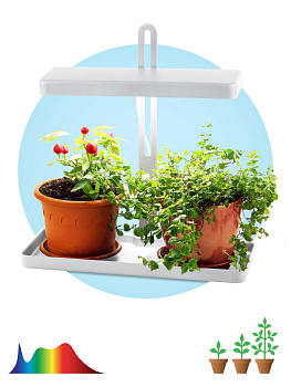 ЭРА FITO-20W-QLED-W Настольный светильник полного спектра