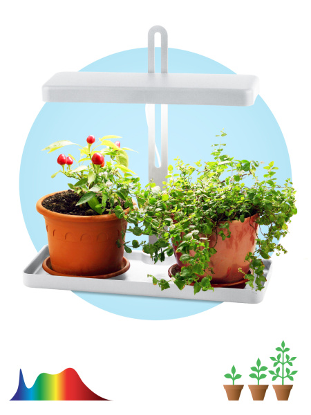 ЭРА FITO-20W-QLED-W Настольный светильник полного спектра