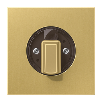 JUNG Накладка поворотного механизма классик ME1941C