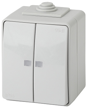 ЭРА 11-1605-03 Эксперт Серый Выключатель 2-кл с подсветкой ОУ IP65