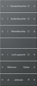 Gira Набор клавиш 6-местный (3+3),  ГРАВИРОВКА 220628